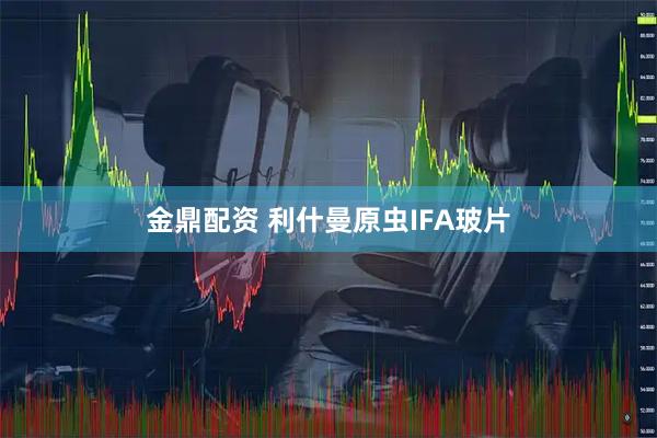 金鼎配资 利什曼原虫IFA玻片