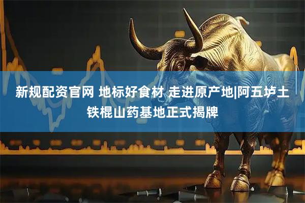 新规配资官网 地标好食材 走进原产地|阿五垆土铁棍山药基地正式揭牌