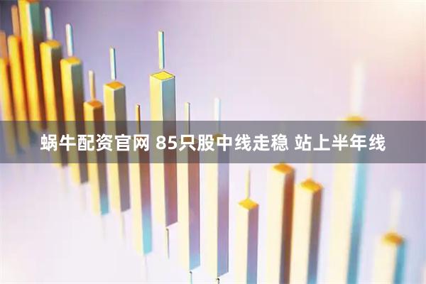 蜗牛配资官网 85只股中线走稳 站上半年线