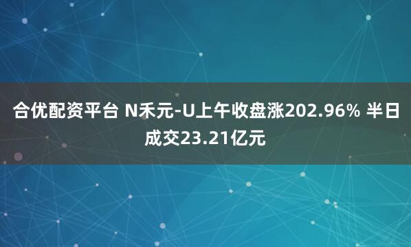 合优配资平台 N禾元-U上午收盘涨202.96% 半日成交23.21亿元
