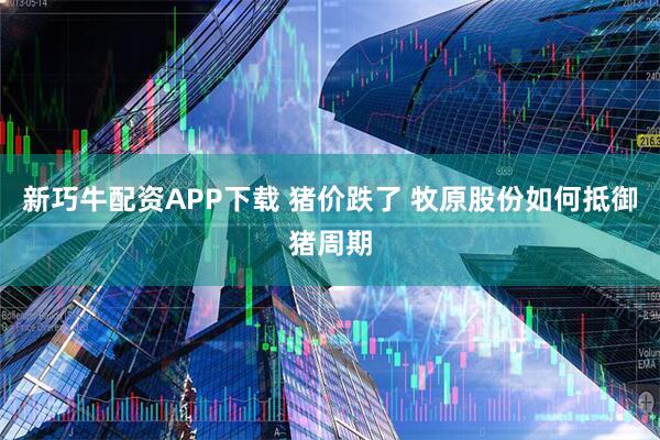 新巧牛配资APP下载 猪价跌了 牧原股份如何抵御猪周期